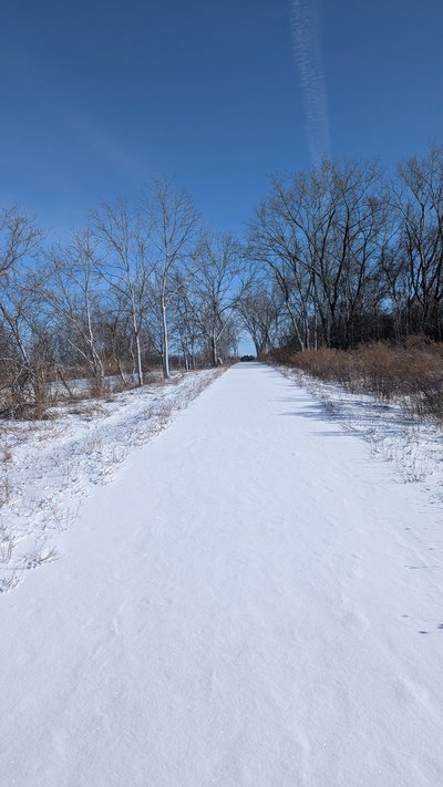 A snow covered recreational trail between some trees. There are no fresh footprints.