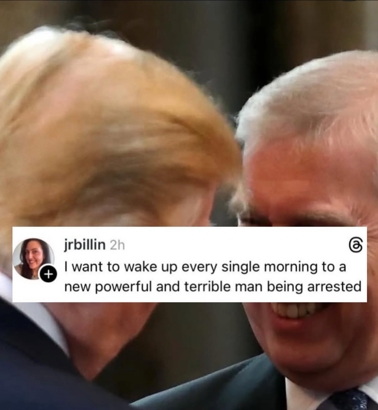 Image of Donald and Andrew warmly greeting one another, overlaid with text that reads:
" I want to wake up every single morning to a new powerful and terrible man being arrested "