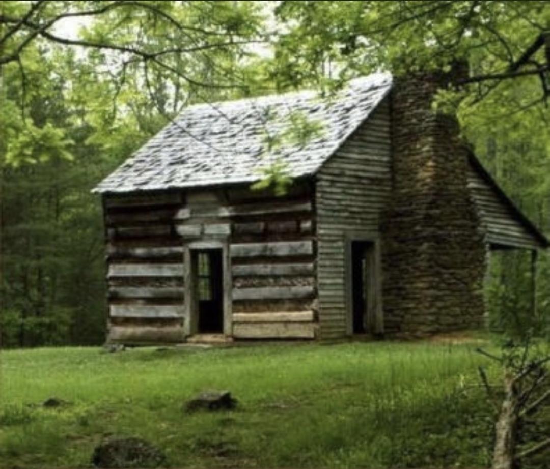 A log cabin home surrounded by lush green grass and trees. It has a stone fireplace. You can see a few tree stumps in the front yard.it looks like it's rained recently. Beautiful.