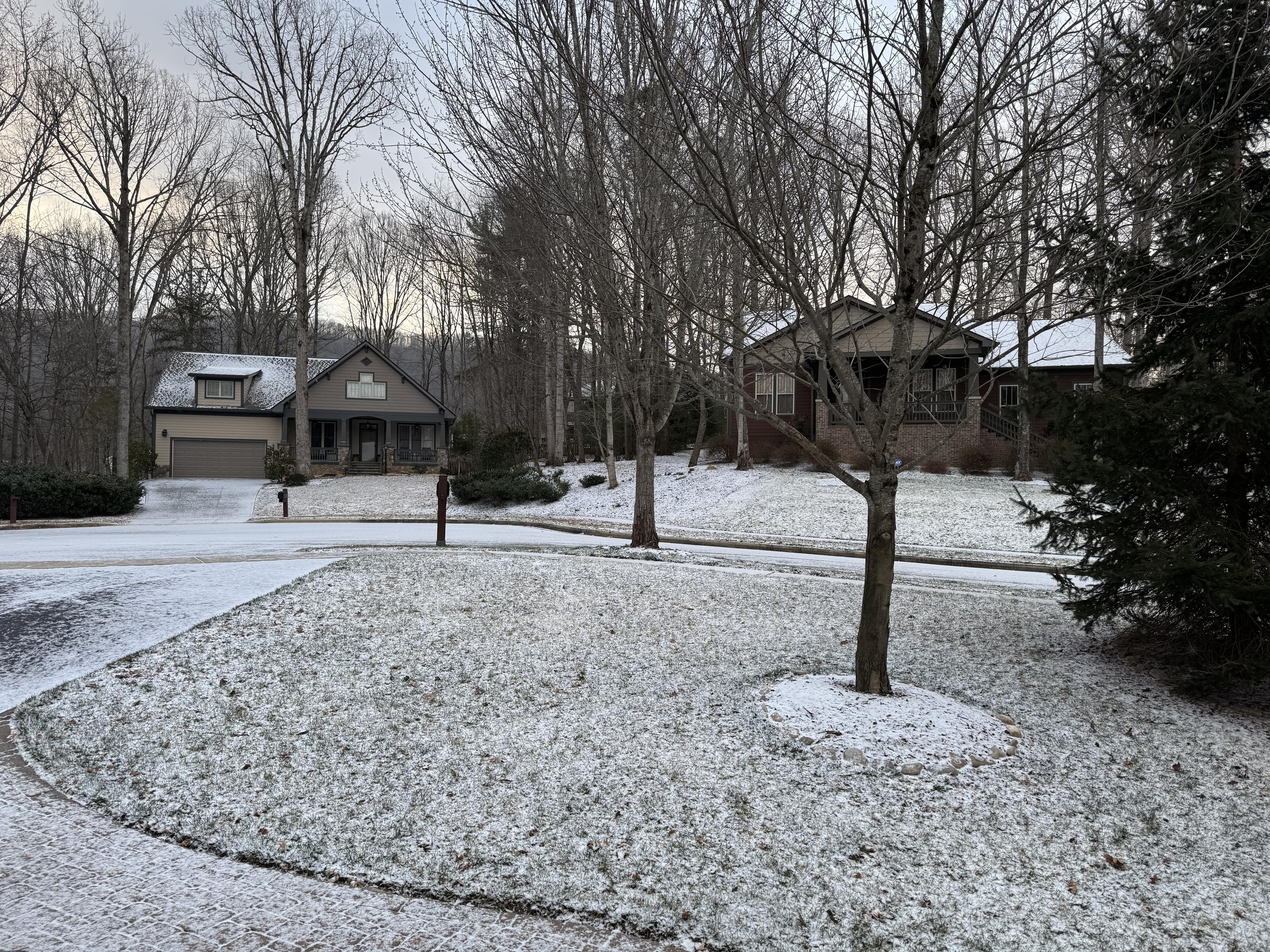 An overcast morning, looking very cold (which it is) looking out the front of a house, and across a snow-dusted court.  Grass, sidewalk, driveway and street are all sugar-frosted right now, with no one having ventured out yet.

The trees themselves show no snow, probably because of all the wind.  The 2 houses across the street have a smattering of snow on their roofs.  Did I mention it was quite cold?