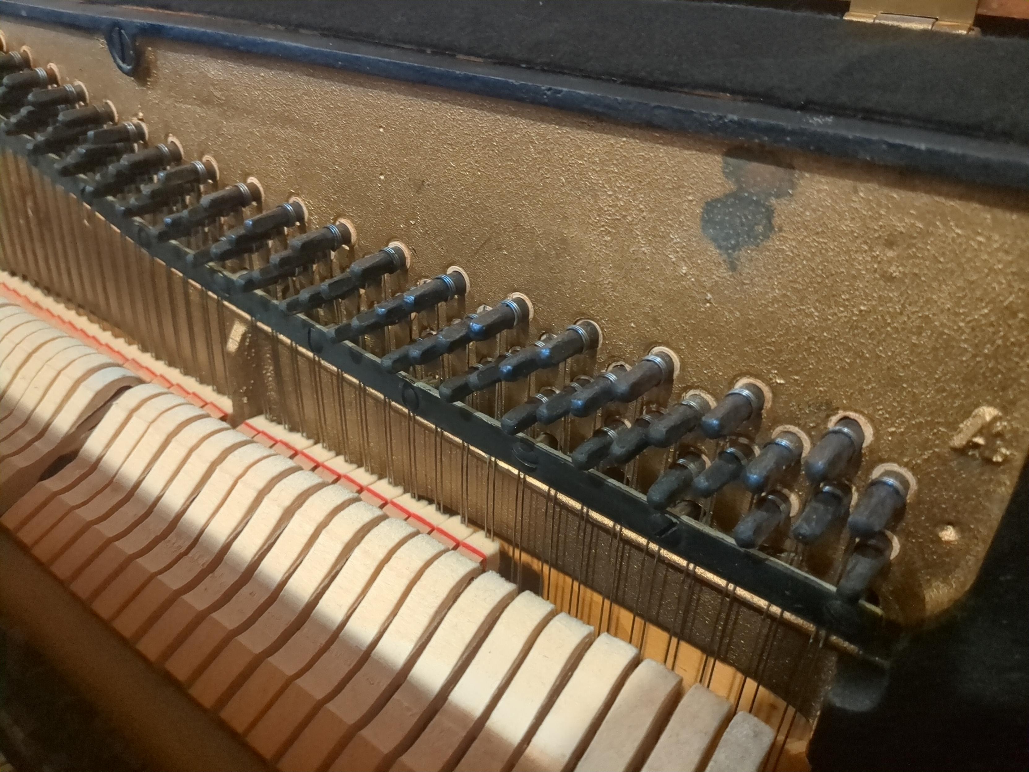 the soundboard of a piano, showing the treble section with 2 strings per note