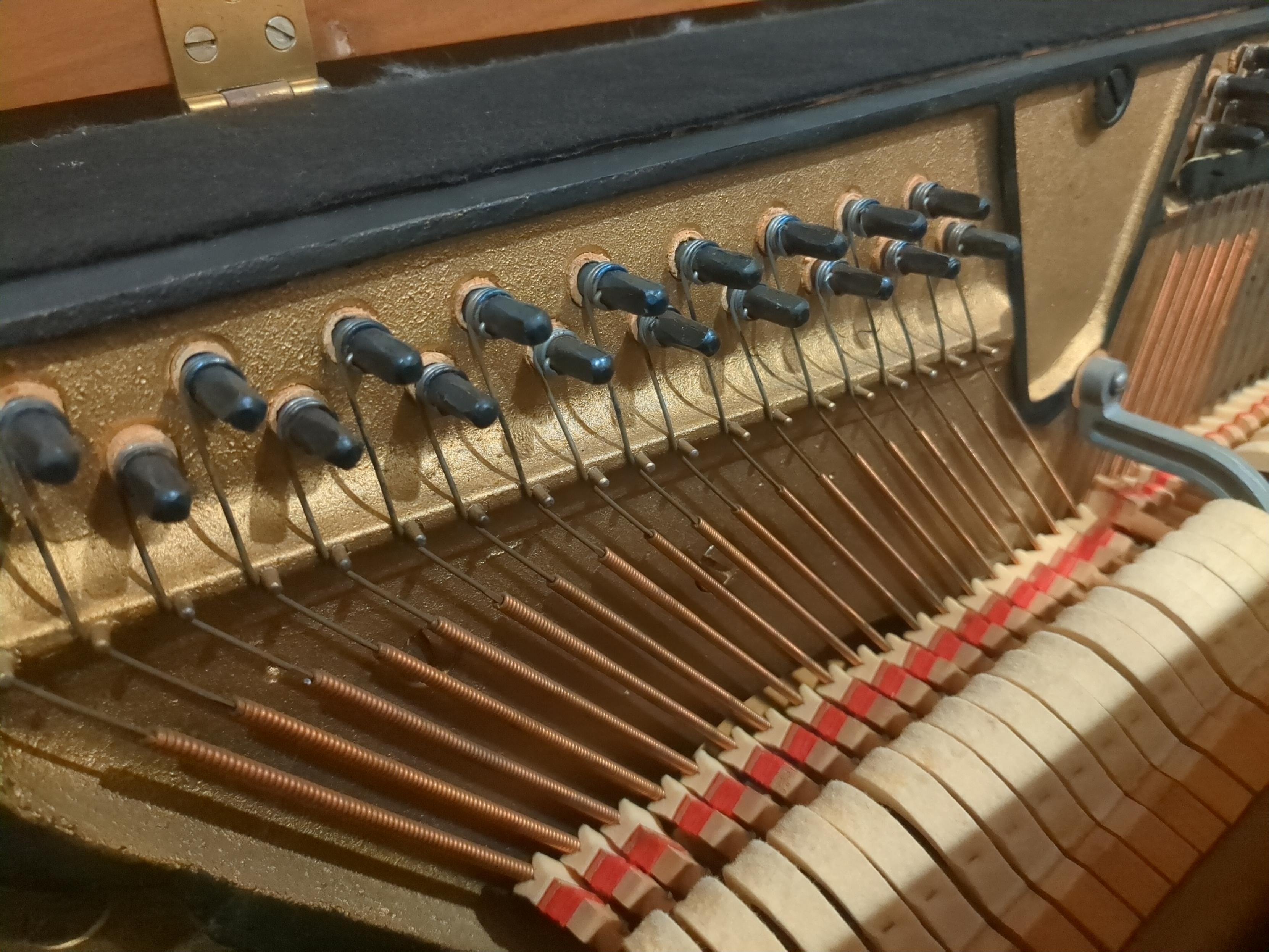 the soundboard of a piano, showing the bass notes with 1 string per note