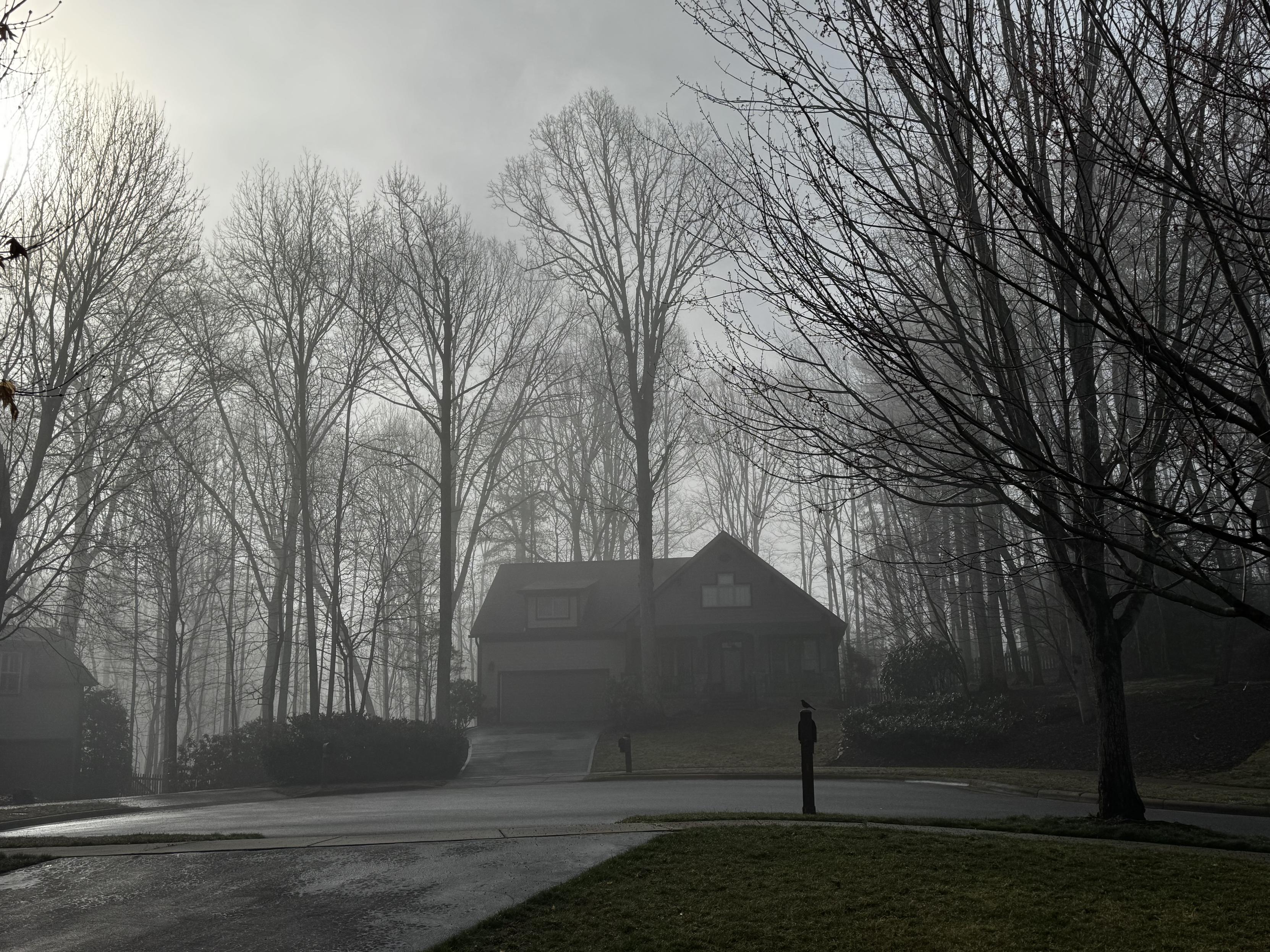 A single story home is somewhat lost in mist and backed by large naked deciduous trees against a purely white background. On more normal mornings one would see the hillside and sun by this time of day.