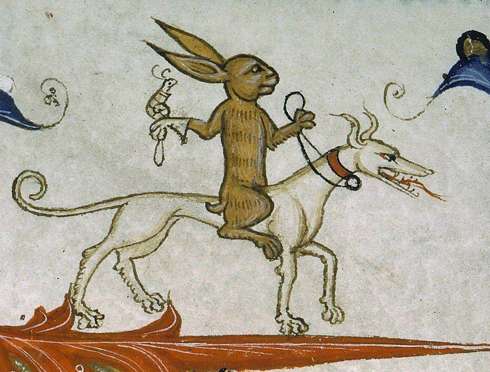 Mediaeval illustration of a rabbit riding a hound - probably a greyhound, but it's white.  It's certainly alarmingly skinny (its waist is a good deal thinner than its neck).  The hound wears a red collar and looks very fierce.  The rabbit holds the hound's lead in its left hand (it's unclear exactly how that would be used to guide the hound); on its right hand is a falconer's glove, on which sits... a snail.  Obviously a snail.  What else would it be?  This is the Middle Ages, after all!