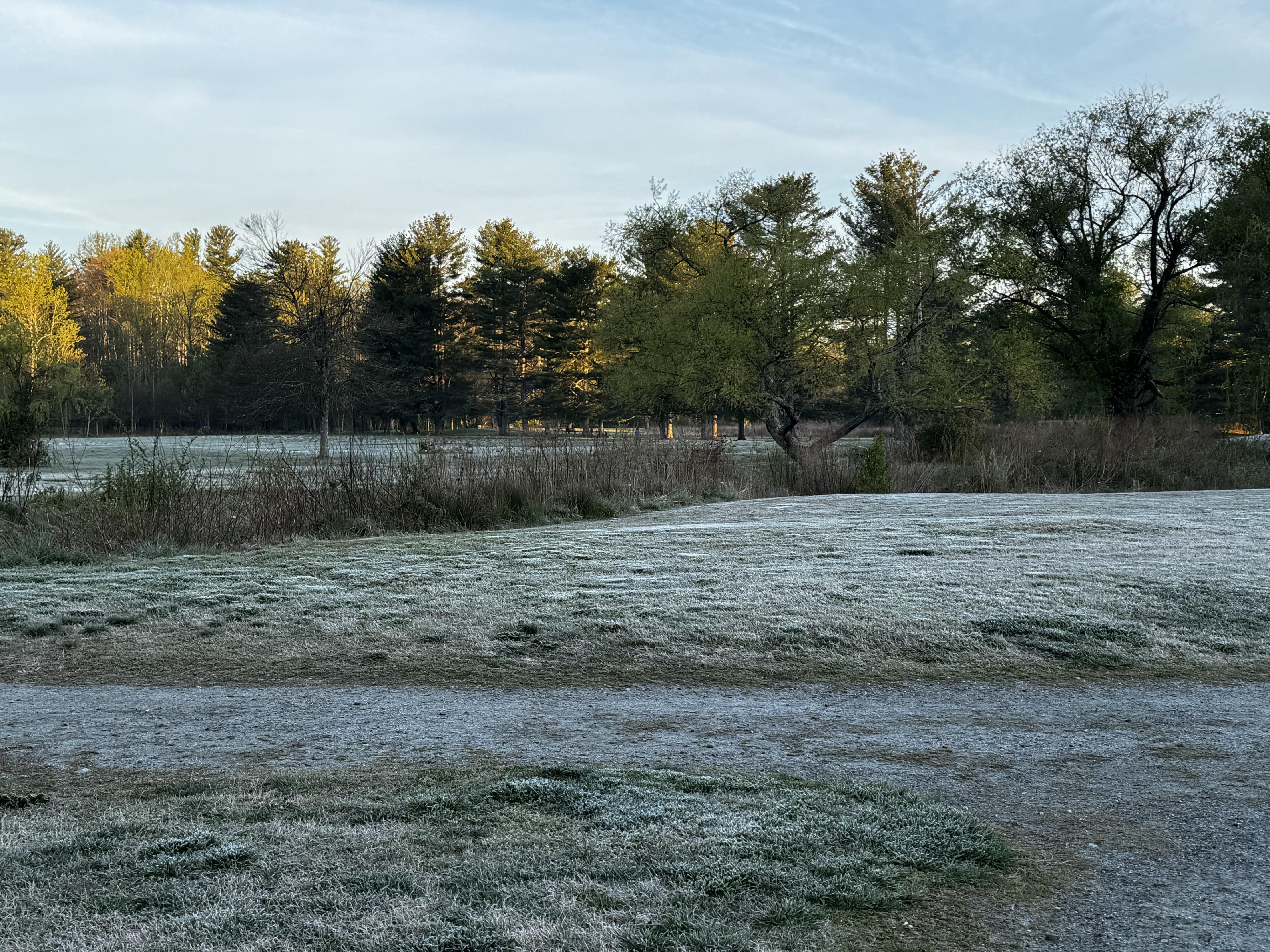 Part of the Park at Flat Rock, where frost is all over the grass on both sides of Dye Creek, and the sun is just far enough up to light some of the trees further away.

Because the sun is behind us, the sky looks more white than blue.  The grass looks very cold.  The Man can attest - he was very cold.