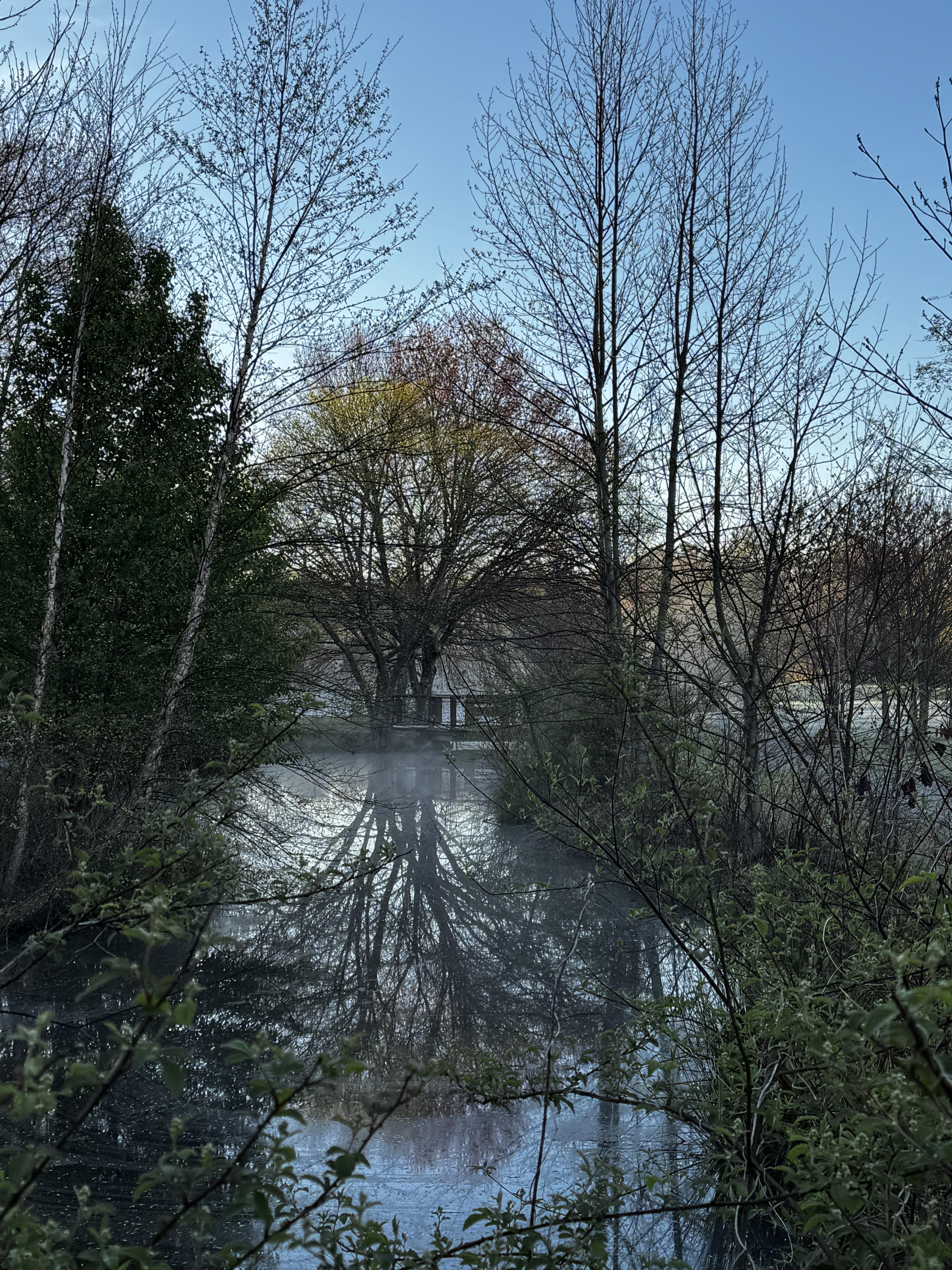 View along the creek to a wooden bridge, with some mostly-bare trees, and many low shrubs and plants near the water.  Everything looks just a bit murky, but the water still reflects the trees.  Beyond the bridge is... what?