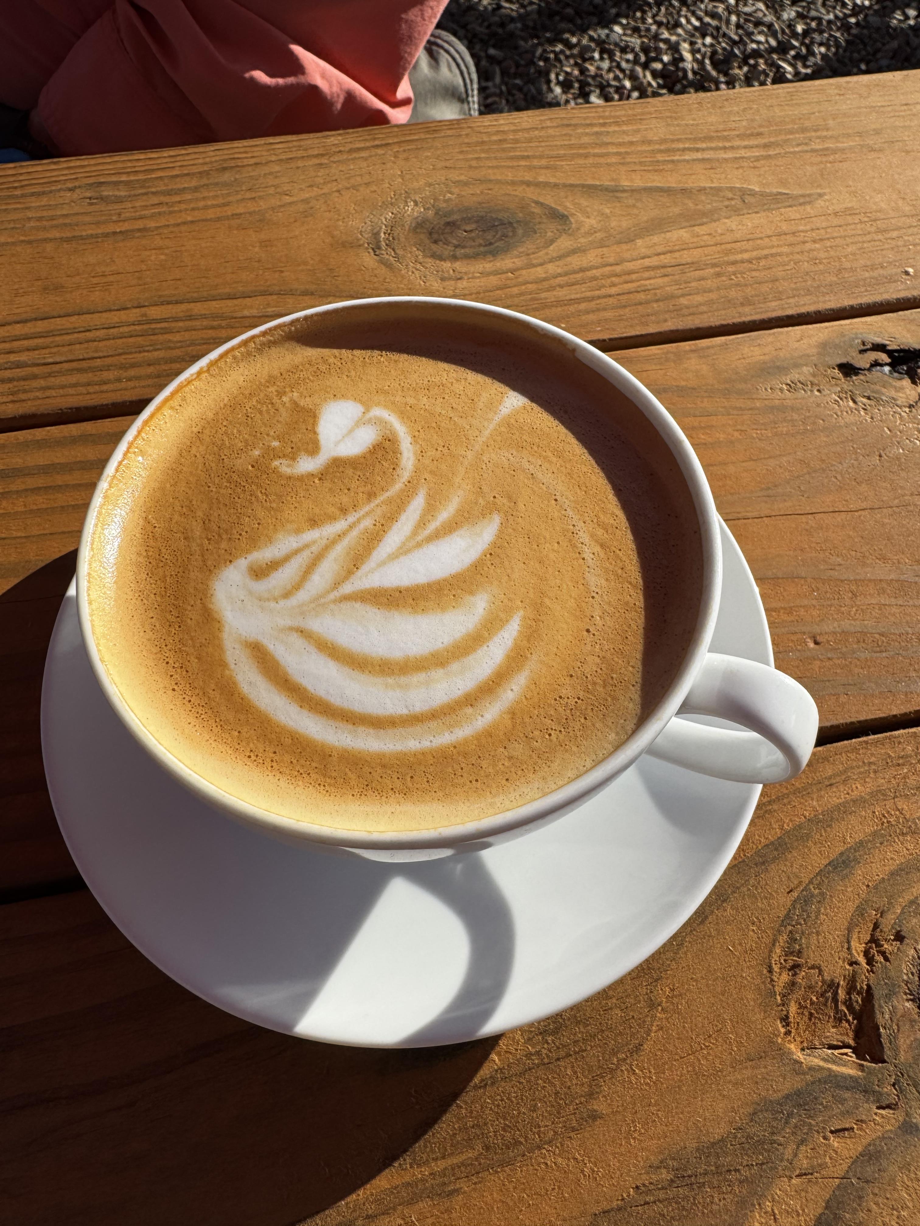 The payoff for the mild 5 mile walk this morning, was a very good latte and breakfast.  They always do foam art, which is a nice thing, so many don't bother.

I had a fern on mine, they The Man got a swan.  Did I mention they were also delicious?