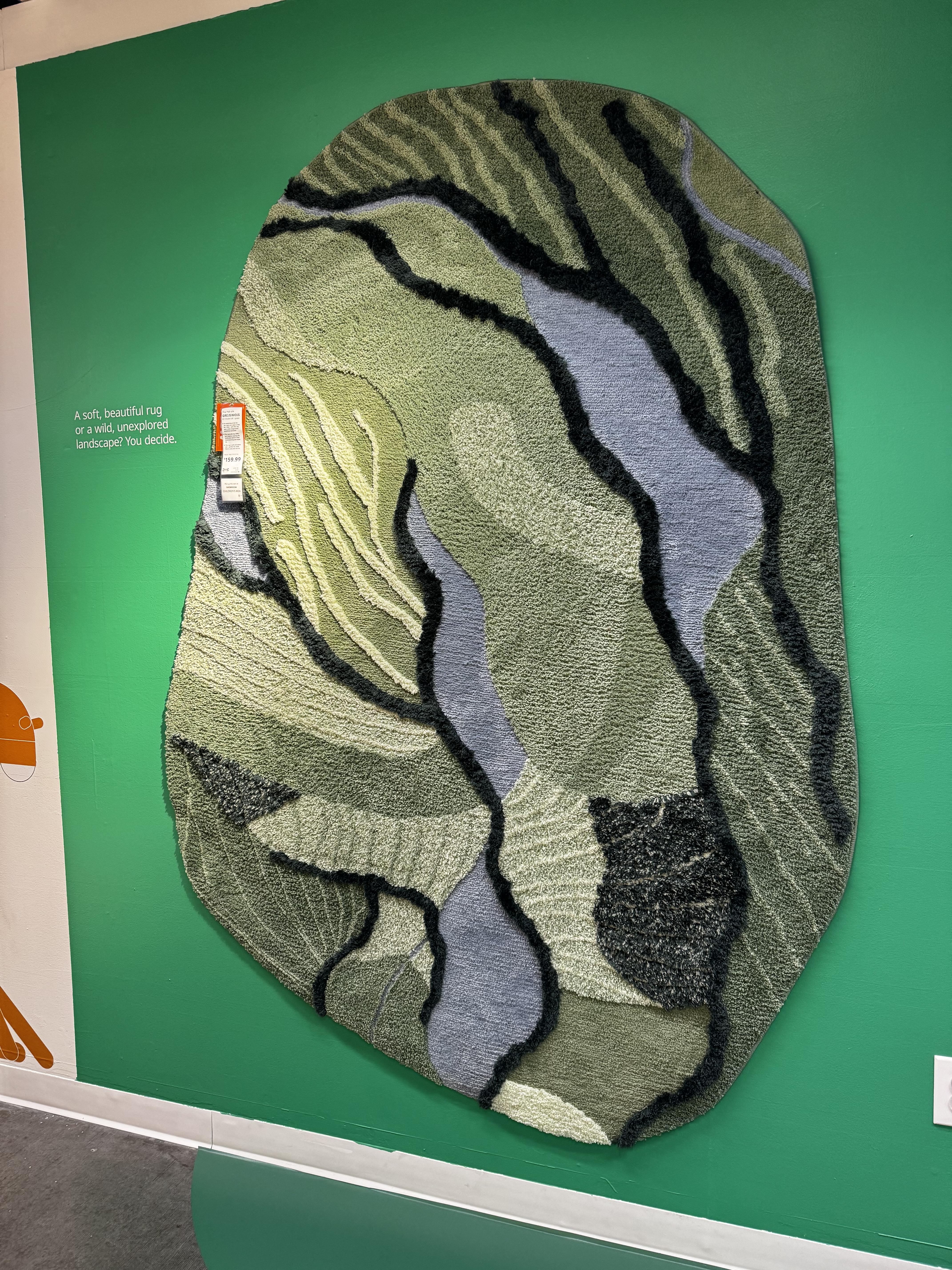 An irregular oval patch of growth on a green wall, with many shades of green and blue and some black streaks through it.  A dynamic environment, to be sure.

Okay, it's actually a rug on a wall at IKEA but it was so beautiful I wanted to bring it home.  No spot for it, unfortunately.