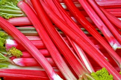 a collection of bright red harvested rhubarb stalks, ready to use!