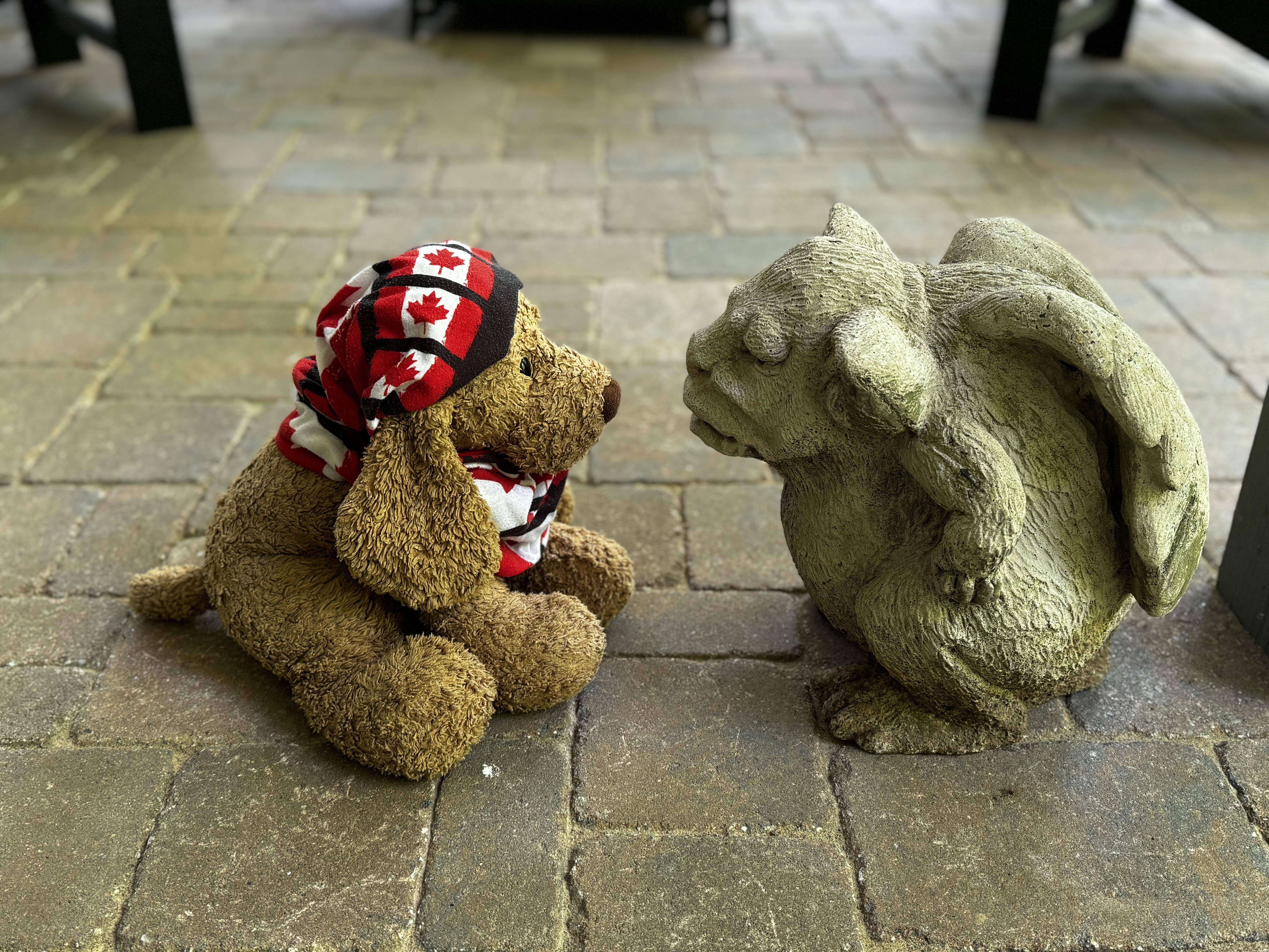 A grumpy concrete garden troll, with wings and ears sticking straight out from her head, and her fists on her hips is nose-to-nose with a stuffed brown dog wearing a Canadian flag buff.  They're sitting on a paver patio, and it seems neither of them is willing to back down.