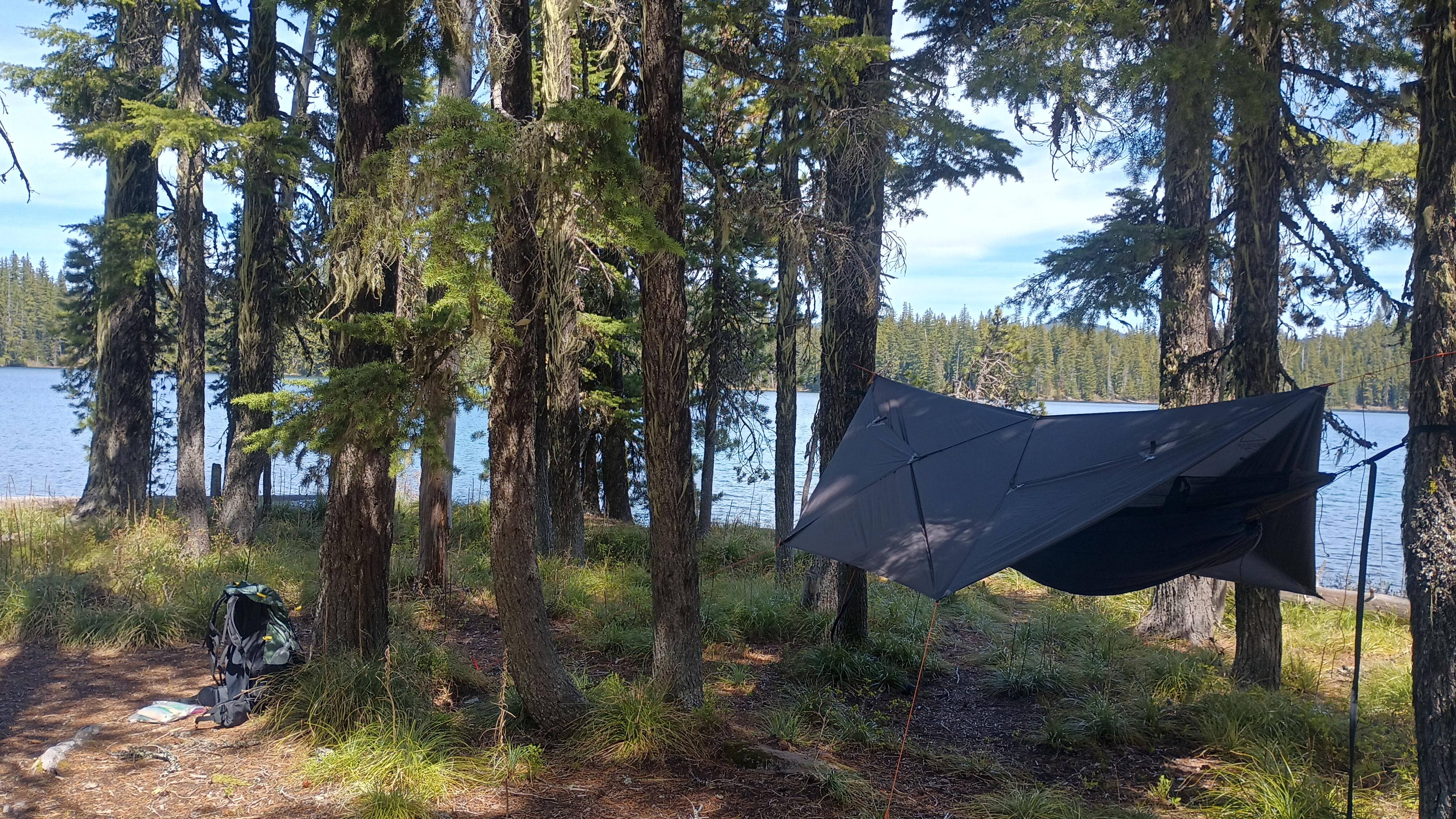 A camping hammock under a black tarp, in a stand of pine trees beside a mountain lake. The breeze is making ripples in the water and the sky is blue.