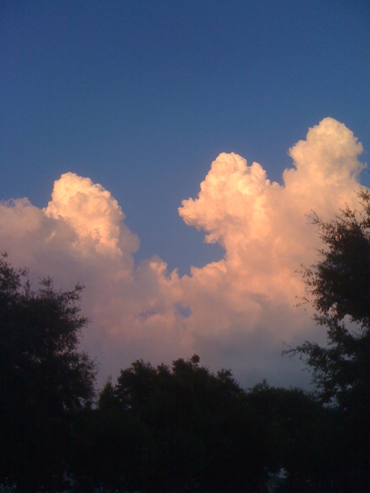 Billowing clouds, boiling up from the horizon over a silhouetted near row of deciduous trees, show white and pink against a vivid blue sky.  These clouds frequently meant thunderstorms, which could have been the case here, even at 8:30pm.