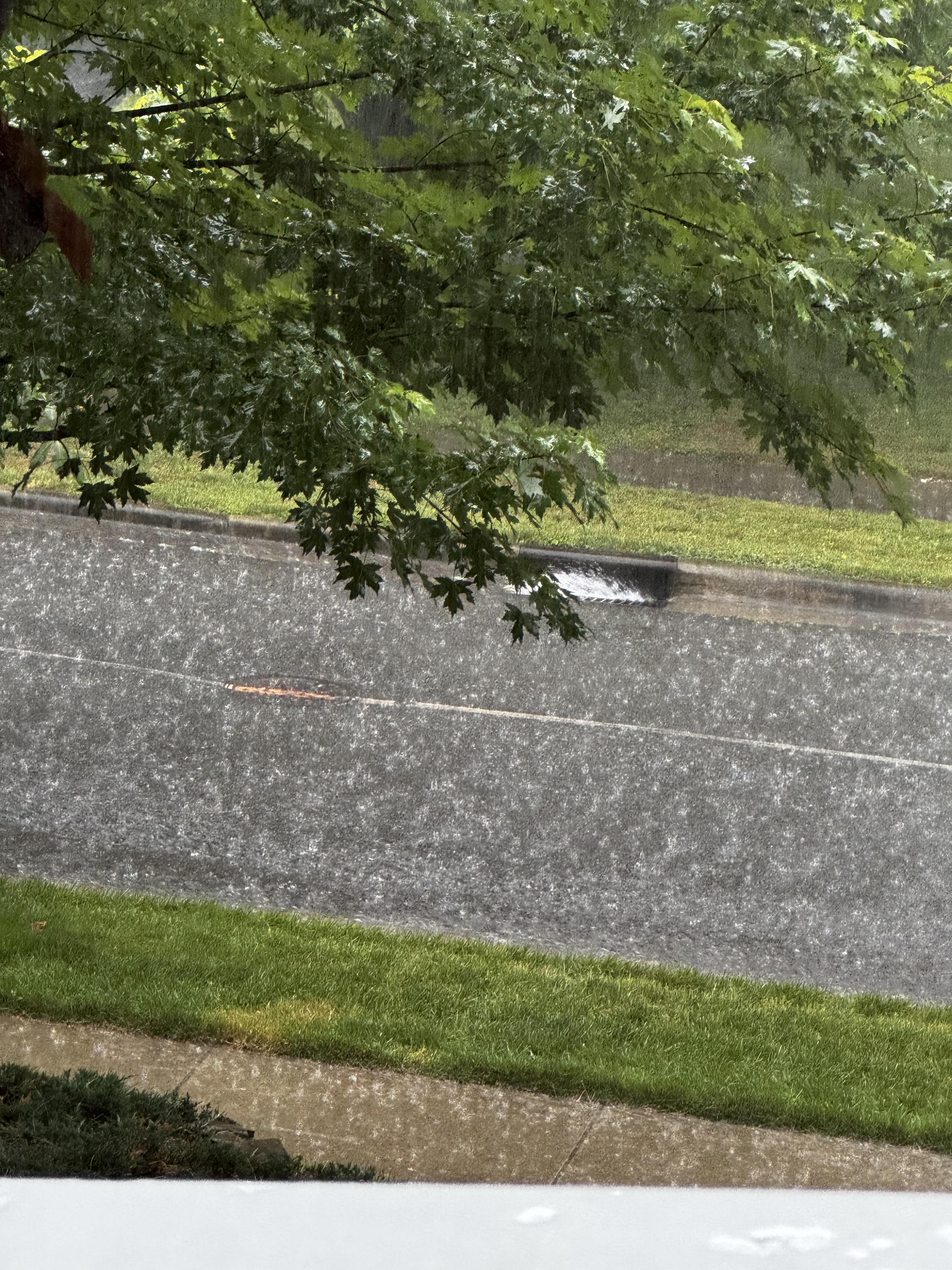 The hilly street next to our home, with a large amount of water streaming downhill, and creating a small rapid at the entrance to the storm drain.  Dancing drops are visible all over the street, as there is so much water flowing, the rain drops bounce.