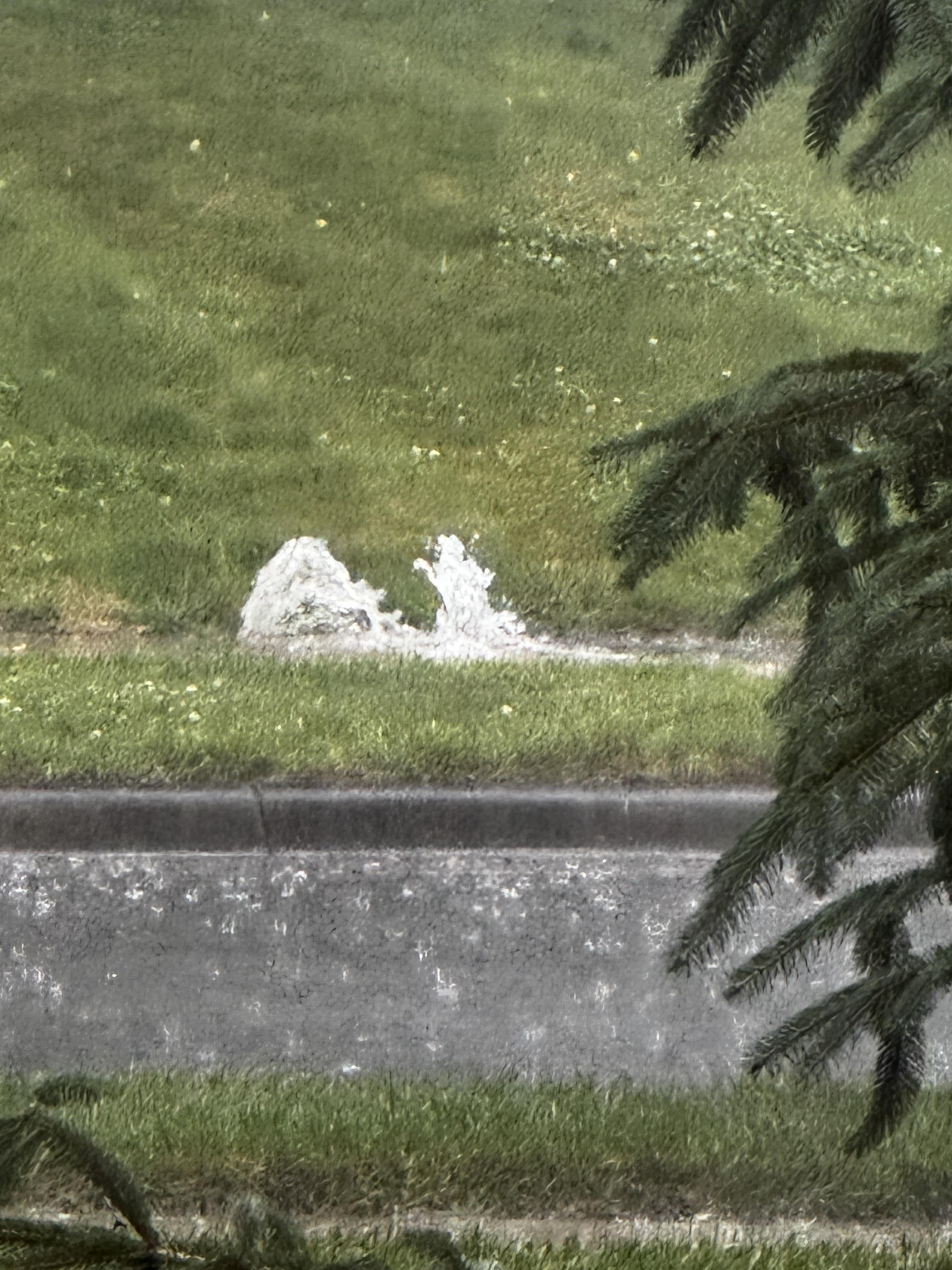 The outlet of some PVC runs of roof gutter extensions on a neighbor's home.  In general, one would like the water to come out a little more calmly than this, hoping water doesn't back up to their roof!  (Mine were doing similar things, but I went out to check...)