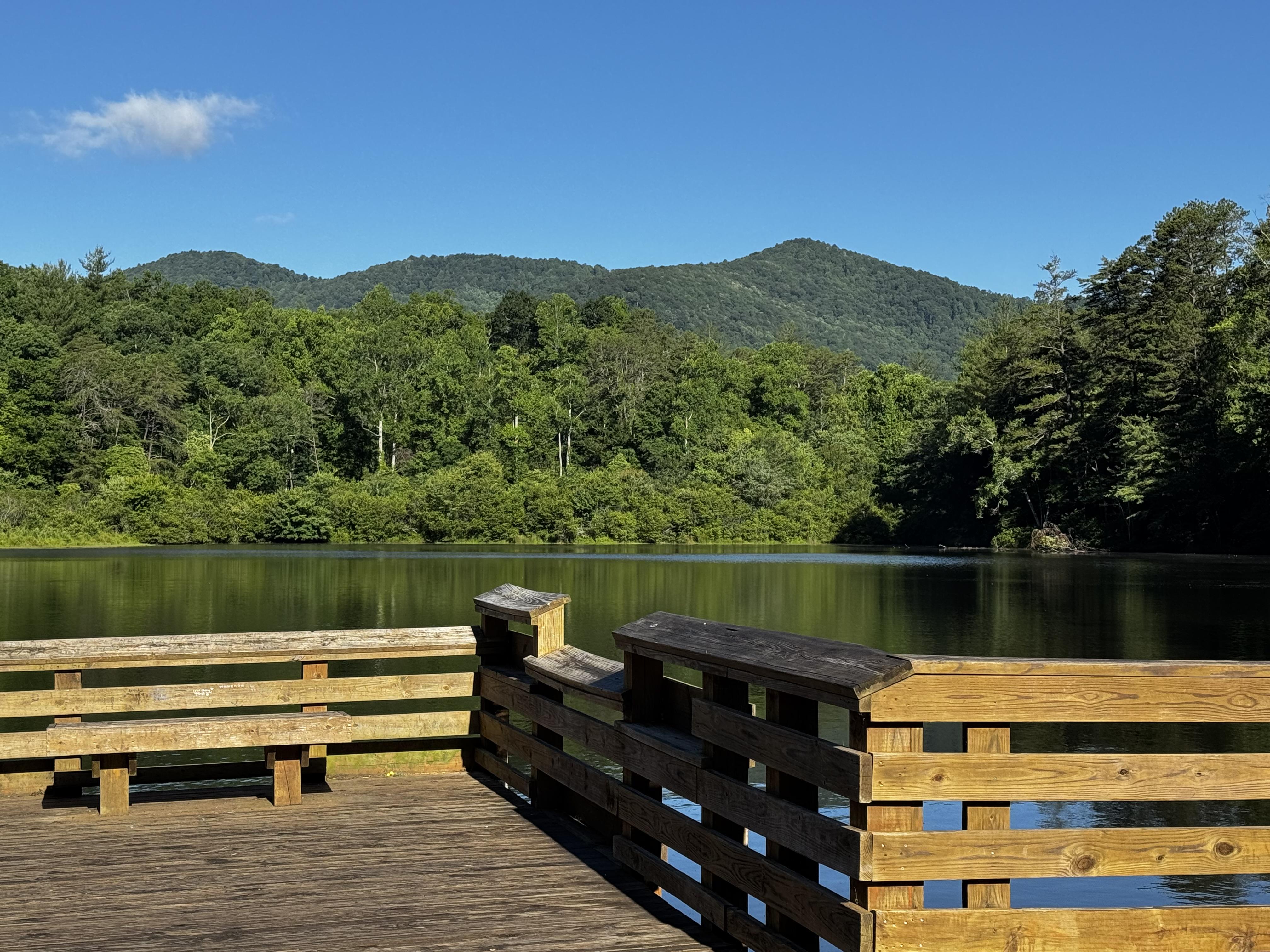 Standing on the dock, the sun is directly behind us, and one can see the larger section of the lake, and the dense forest rising from the far shore up into the hills behind it.  The sky is an attractive blue, with only one small cloud.  We were lucky to get a last cool day on this 15th day of June.