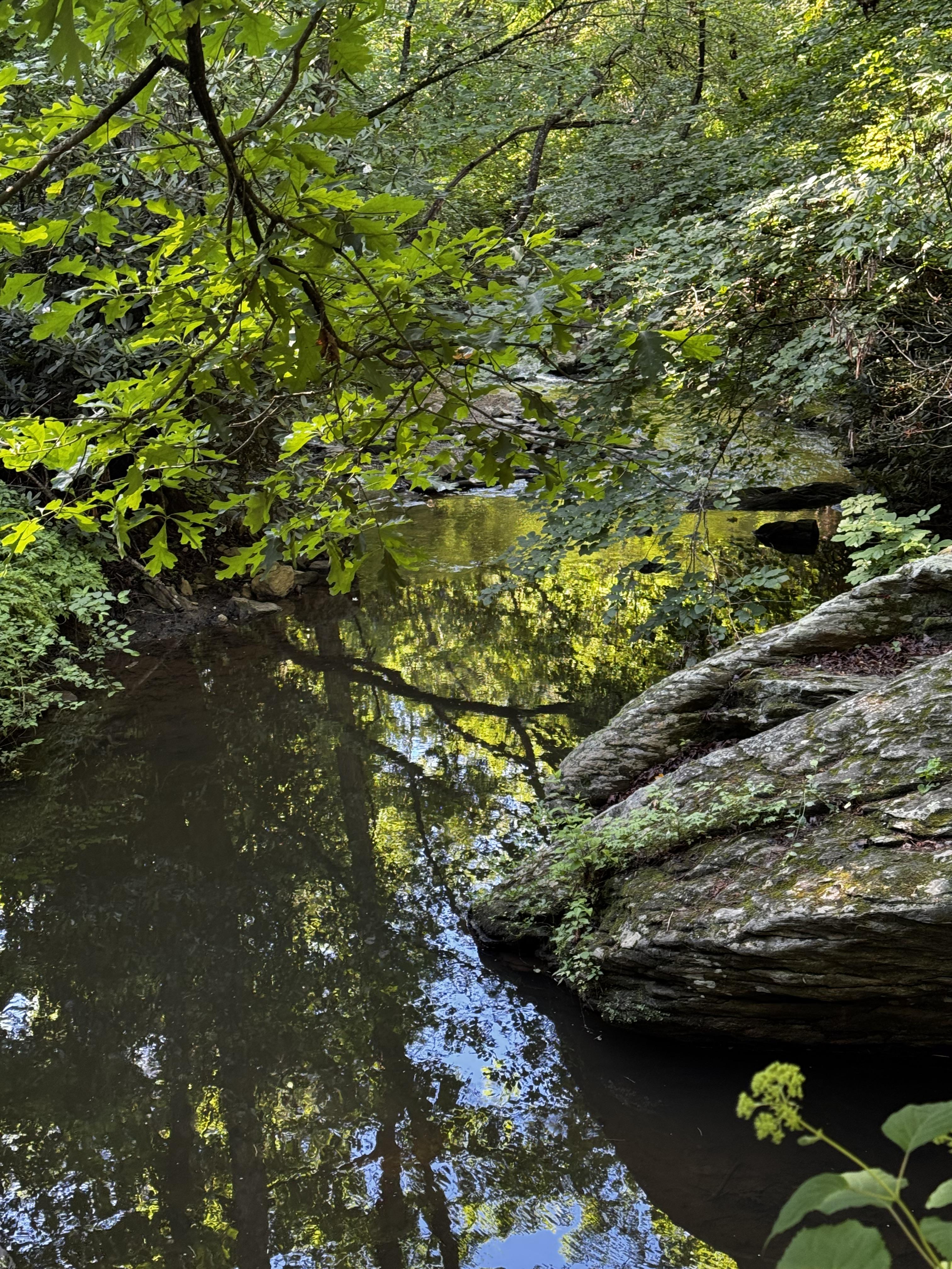 Back on the Arb property, standing on an old stone bridge (not visible) this is one of our favorite vistas, for looking at Bent Creek.  The sun is breaking through the tree cover ahead, and there are SO MANY DIFFERENT GREENS  in this picture.

A huge rock on the right is moss and lichen-covered, and noses down into the water.  Trees on the left lean over their banks, while the sun is lighting trees further away, which are only visible as bright green reflections in the water.

Complicated, busy, fussy, but I love this spot.  Green.